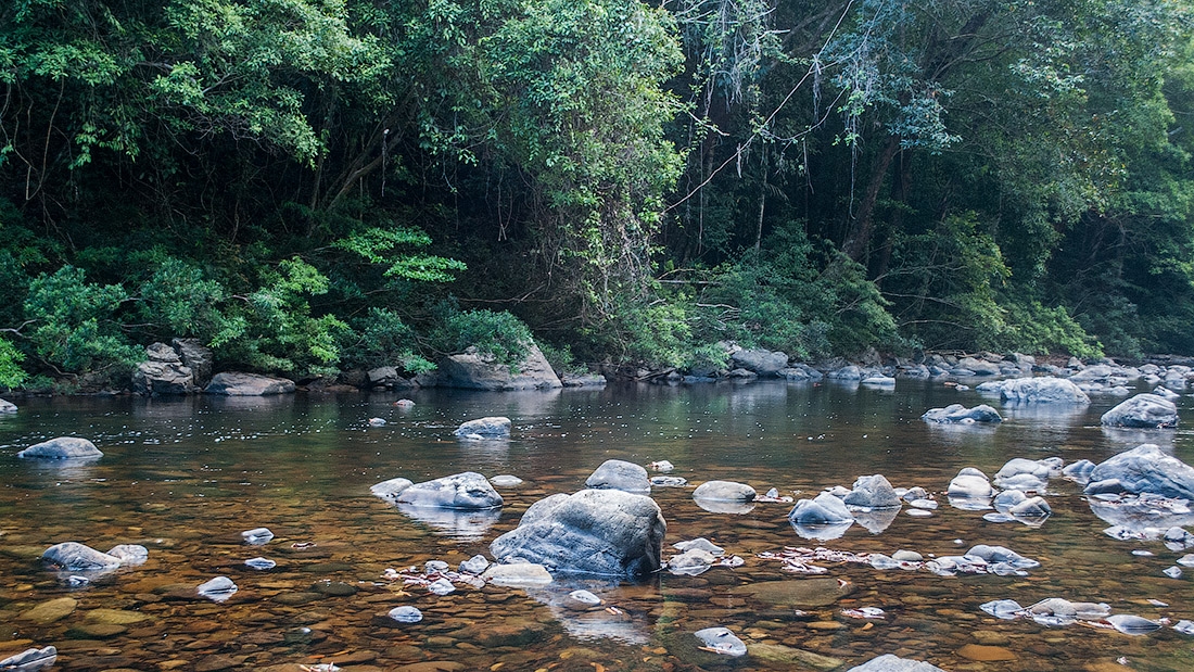 Речка Сунгай Тахан (Sungai Tahan)